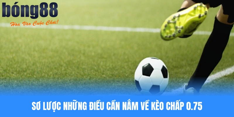Sơ lược những điều cần nắm về kèo chấp 0.75