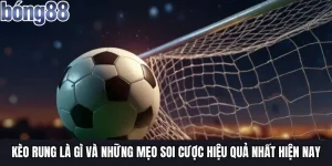 kèo rung bong88