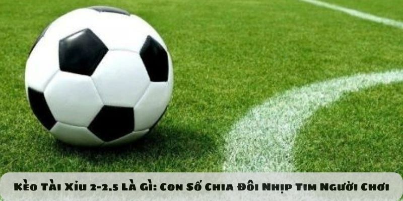 kèo tài xỉu 2-2.5