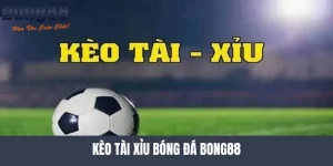 Kèo tài xỉu bóng đá