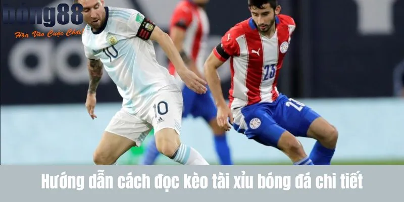 Hướng dẫn cách đọc kèo tài xỉu bóng đá chi tiết