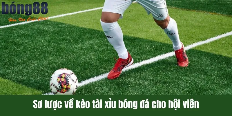 Sơ lược về kèo tài xỉu bóng đá cho hội viên