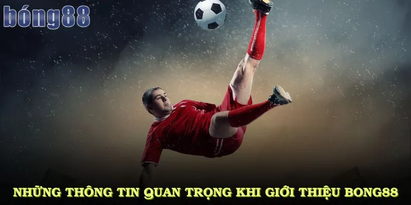 Những thông tin quan trọng khi giới thiệu bong88