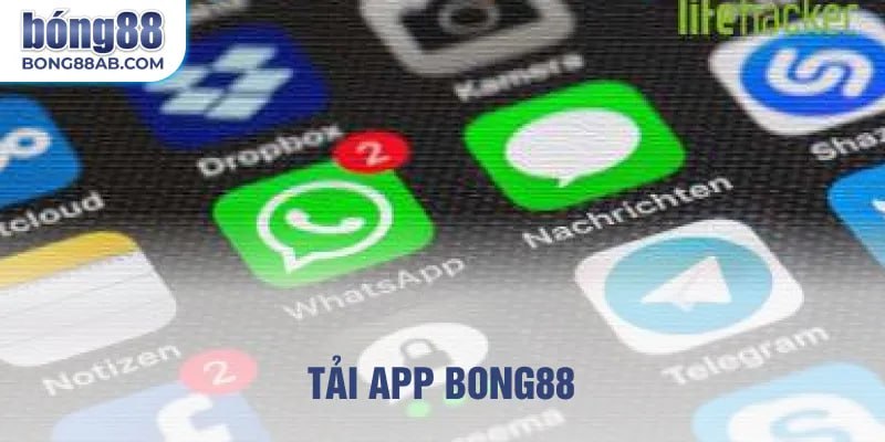 Tải app bong88