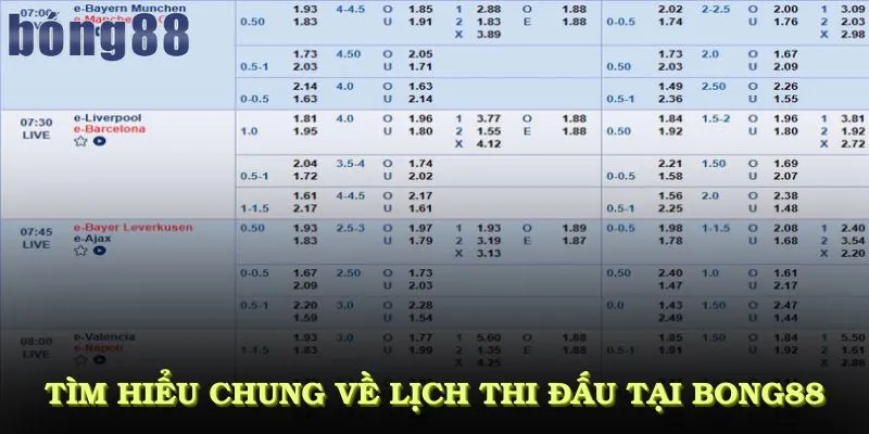 Tìm hiểu chung về lịch thi đấu tại bong88