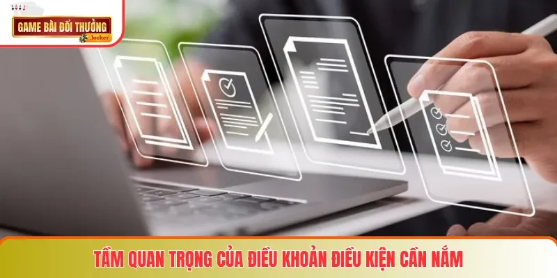 Tầm quan trọng của điều khoản điều kiện cần nắm